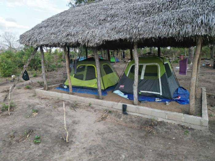 THE AREA IS CALLED MIKOCHENI IN BUSH.